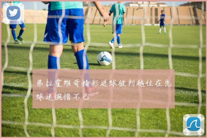 弗拉霍维奇精彩进球被判越位在先球迷惋惜不已